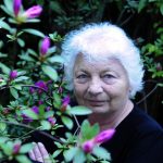 Diana Bellessi: “Una no se jubila de la poesía”