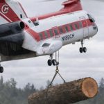 Helicópteros arrojan troncos sobre ríos de Estados Unidos: más de 6.000 árboles con un objetivo vital